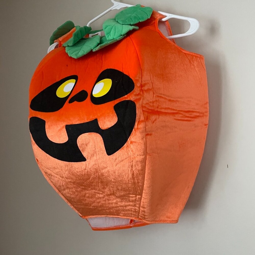 Plush Wacky Pumpkin Costume